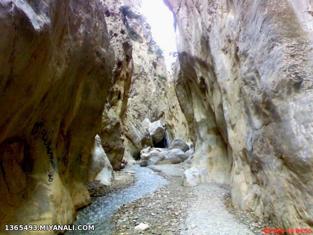 روزیه1
