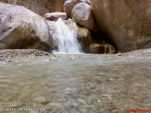 روزیه2