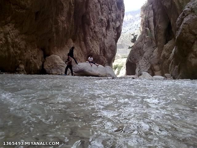 روزیه3