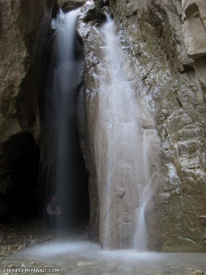 روزیه4