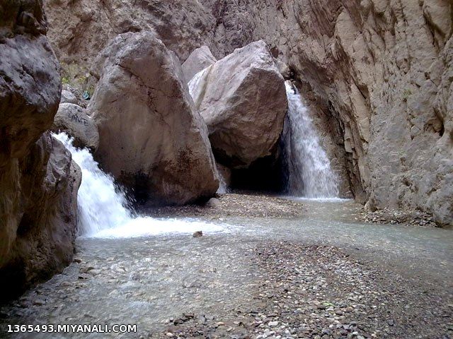 روزیه5