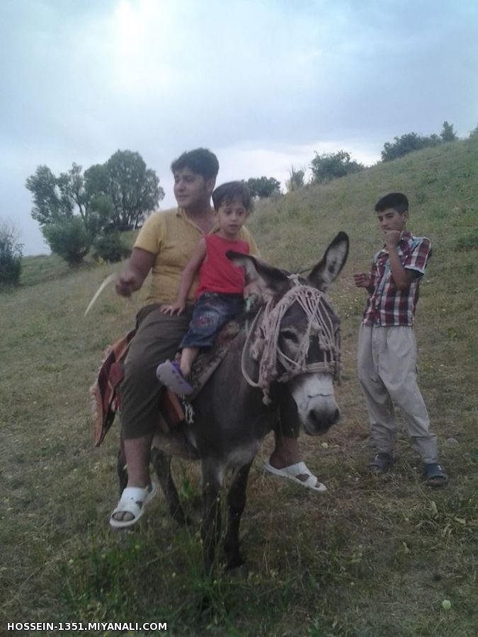 میانه