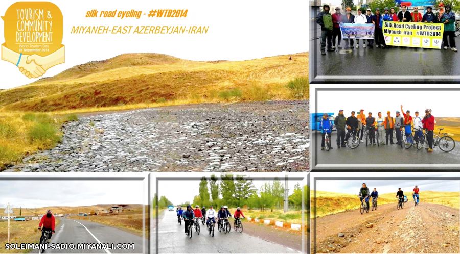 WTD2014-MIYANEH#
